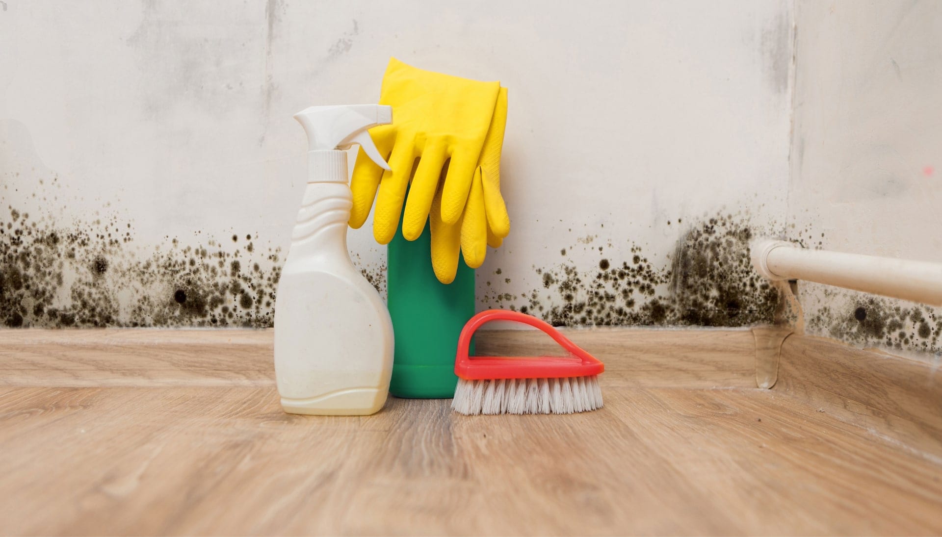 We offer fast and reliable services to help remove and prevent mold growth in your home or business in Gilbert, Arizona