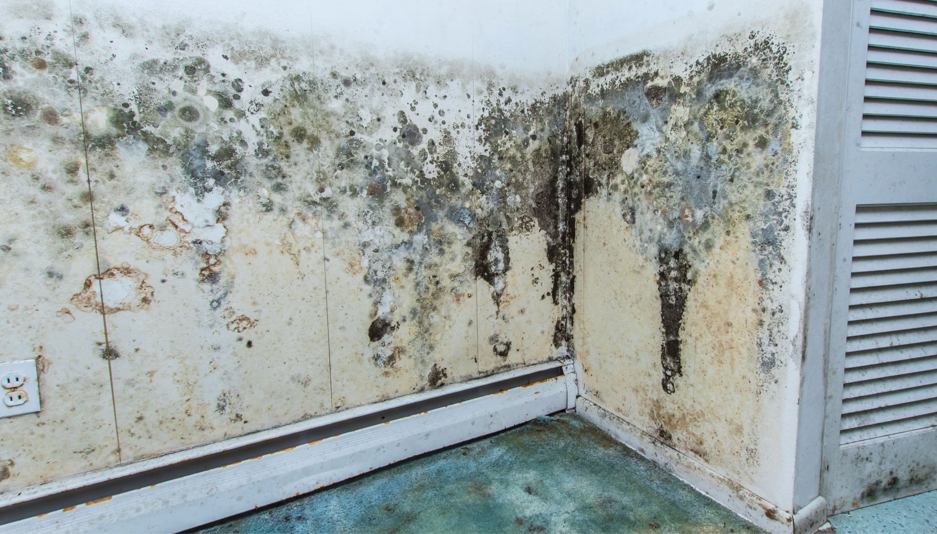 Professional mold removal, odor control, and water damage restoration service in Gilbert, Arizona.