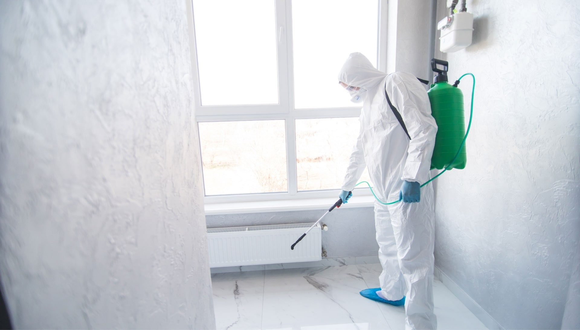 We provide the highest-quality mold inspection, testing, and removal services in the Gilbert, Arizona area.